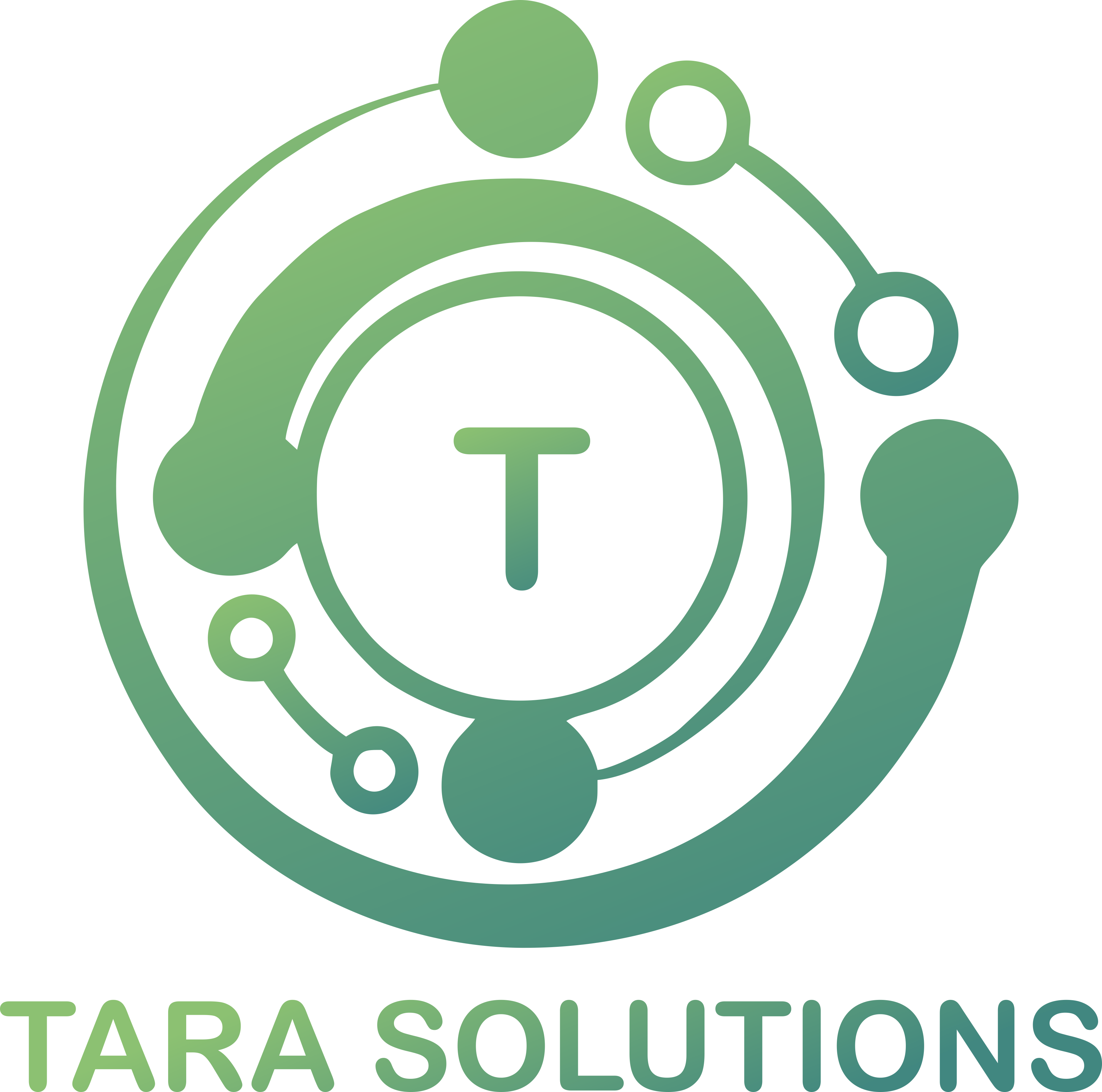 Tara Solutions Logo