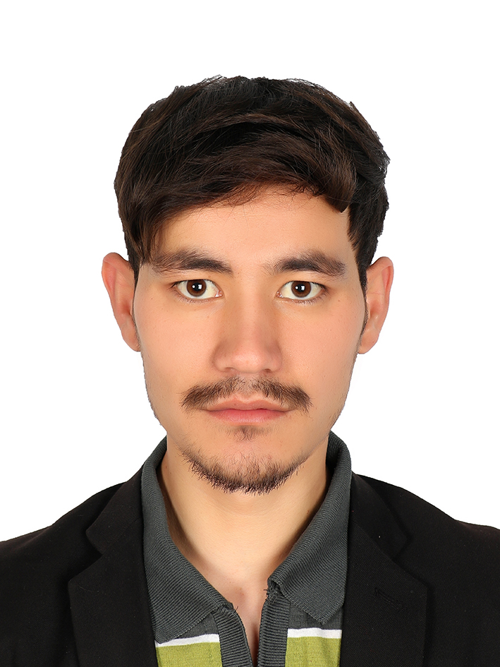 Mohammad Mahdi Alizada